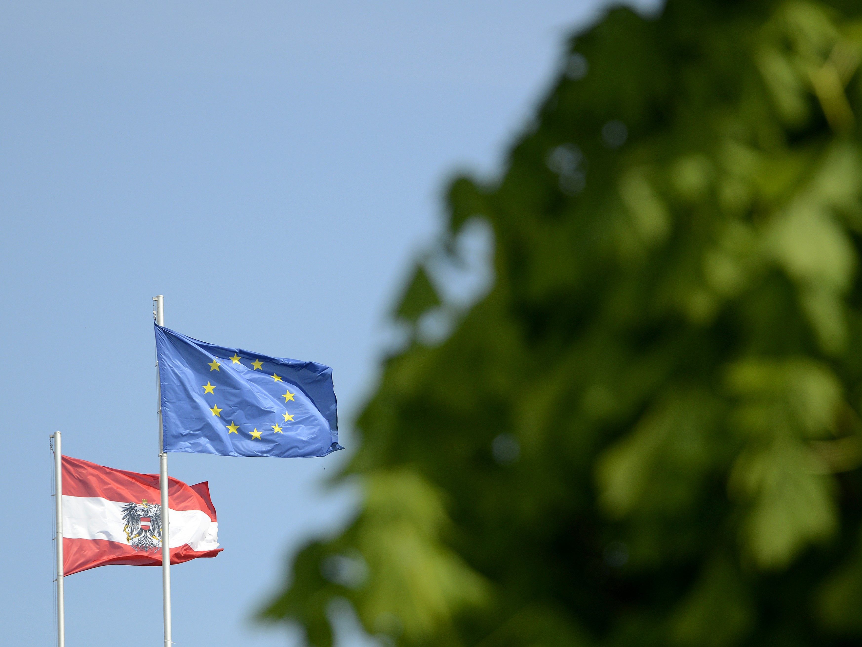 Ein Überblick der Urnengänge zur EU-Wahl von 1996 bis 2014.