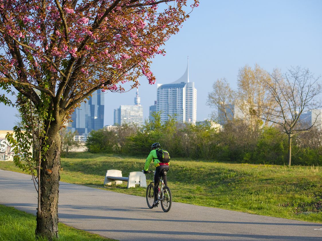 Der Frühling lockt auf die Donauinsel. Der Frühling lockt auf die Donauinsel.