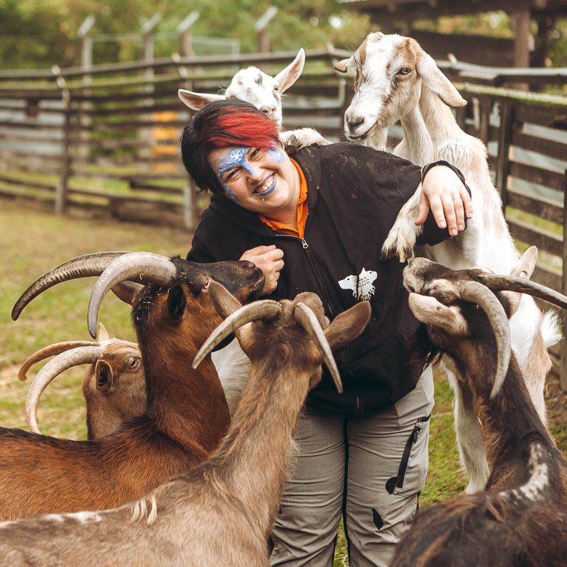 Der WTV lädt am 7. April zum Frühlingserwachen ein.