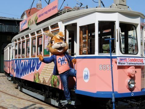 Die Manner-Straßenbahn dreht auch heuer zu Ostern wieder ihre Runden in Wien. Die Manner-Straßenbahn dreht auch heuer zu Ostern wieder ihre Runden in Wien.