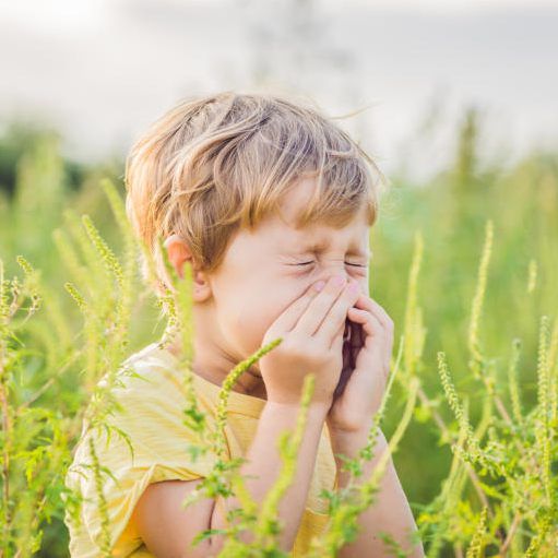 Die Blütezeit bedeutet für Pollenallergiker eine enorme körperliche Belastung.