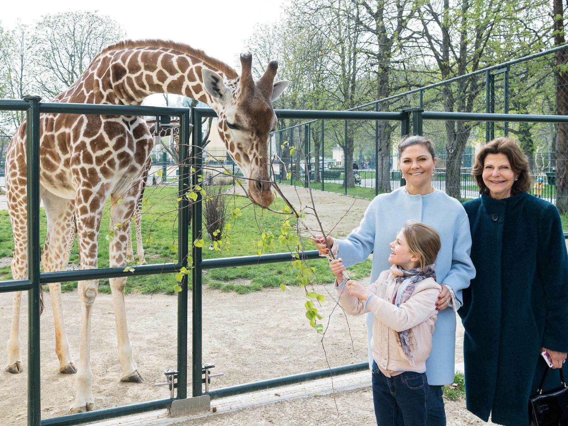 Die schwedische Königsfamilie durfte beim Besuch im Tiergarten die Giraffen füttern.