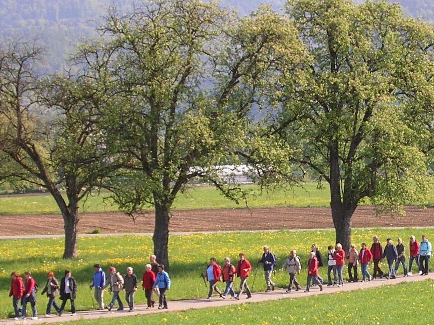 Am 1. Mai wird wieder zur Basilika nach Rankweil gepilgert. Am 1. Mai wird wieder zur Basilika nach Rankweil gepilgert.