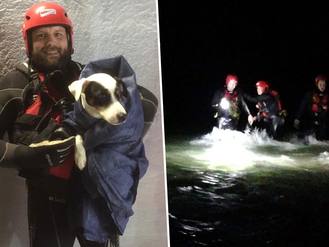 Hund und Camper konnten nach aufwendiger Rettungsaktion geborgen werden.