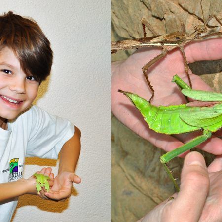 Das Haus des Meeres hält ein paar besondere Highlights in den Osterferien bereit.