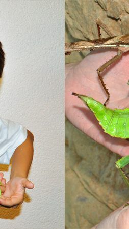 Das Haus des Meeres hält ein paar besondere Highlights in den Osterferien bereit.