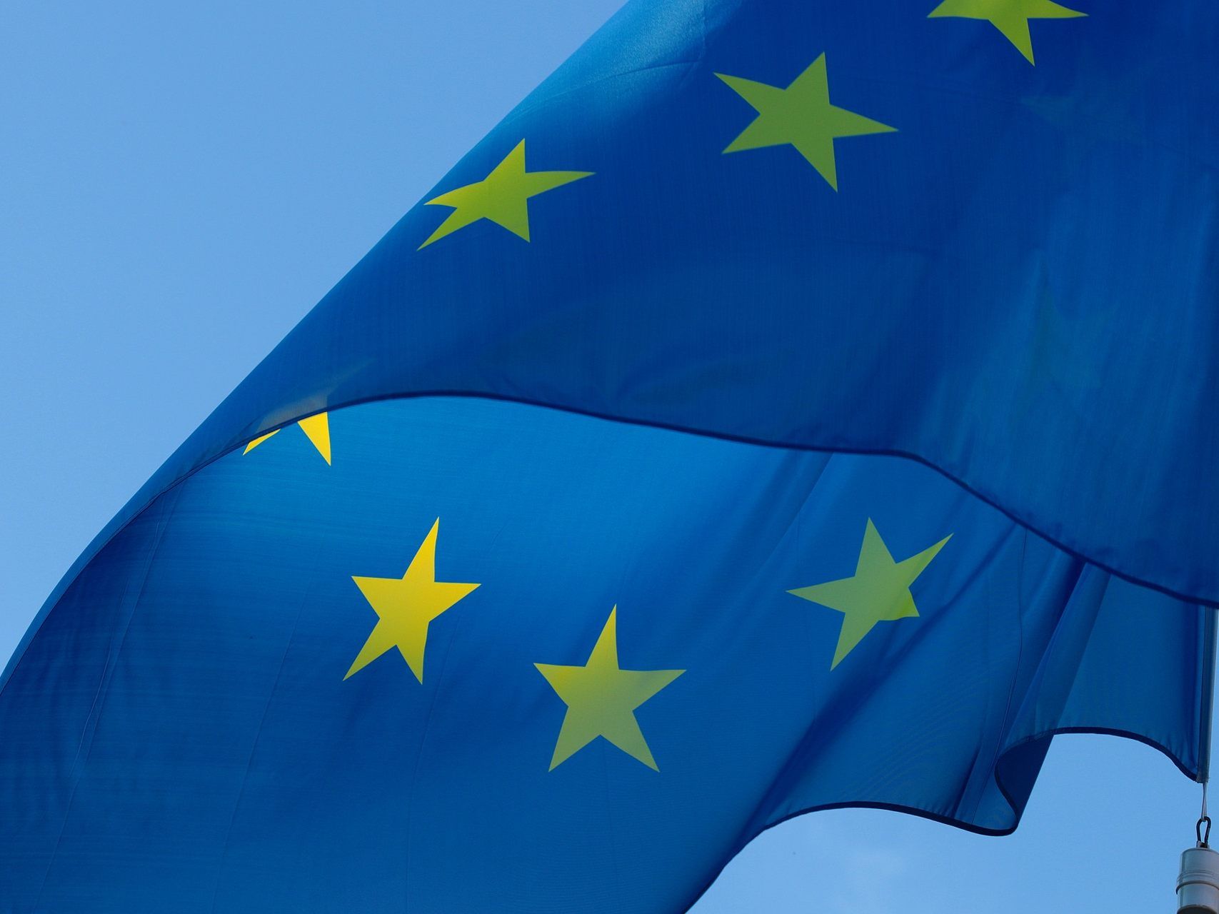 In Österreich gibt sich nur eine Partei EU-kritisch. In Österreich gibt sich nur eine Partei EU-kritisch.