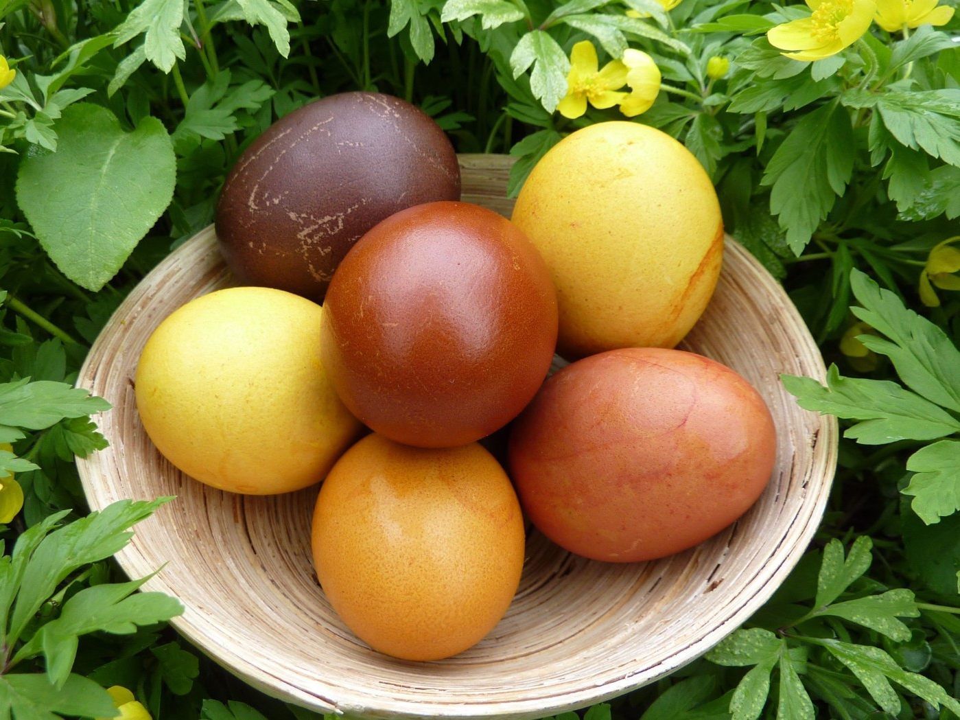 Ostereier erhalten von Zwiebelschalen eine rötliche, von Kurkuma eine gelbliche Farbe.