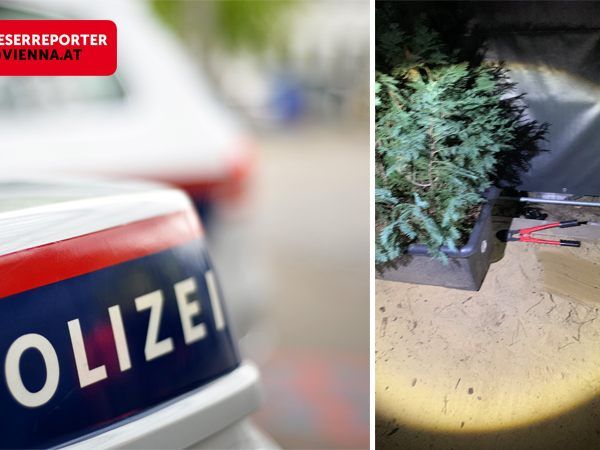 Der mutmaßliche Täter konnte festgenommen werden. Der mutmaßliche Täter konnte festgenommen werden.