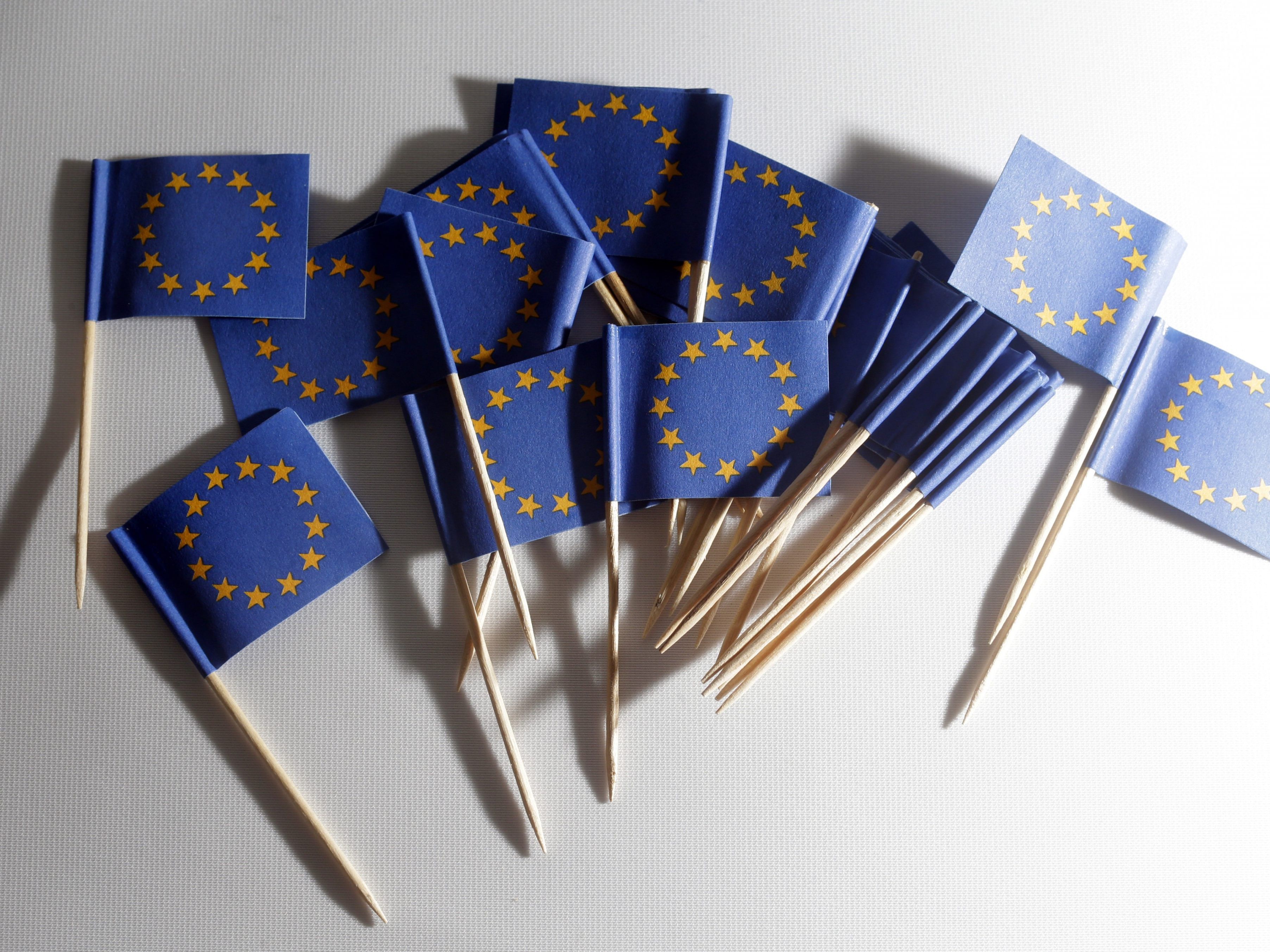 Aktualisierte Prognose vor der EU-Wahl. Aktualisierte Prognose vor der EU-Wahl.