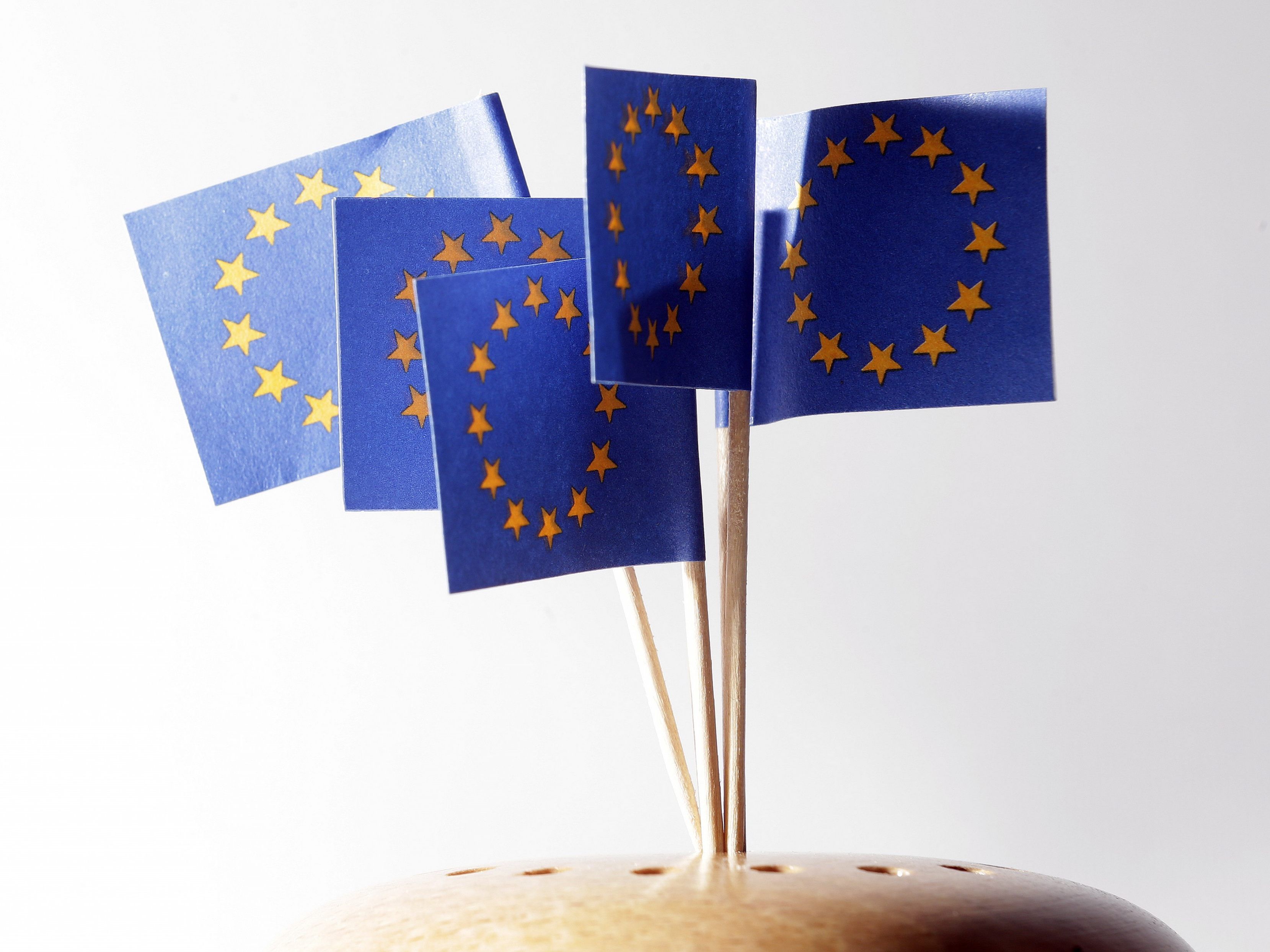 Die wichtigsten rechtspopulistischen Partien der EU-Staaten im Überblick.