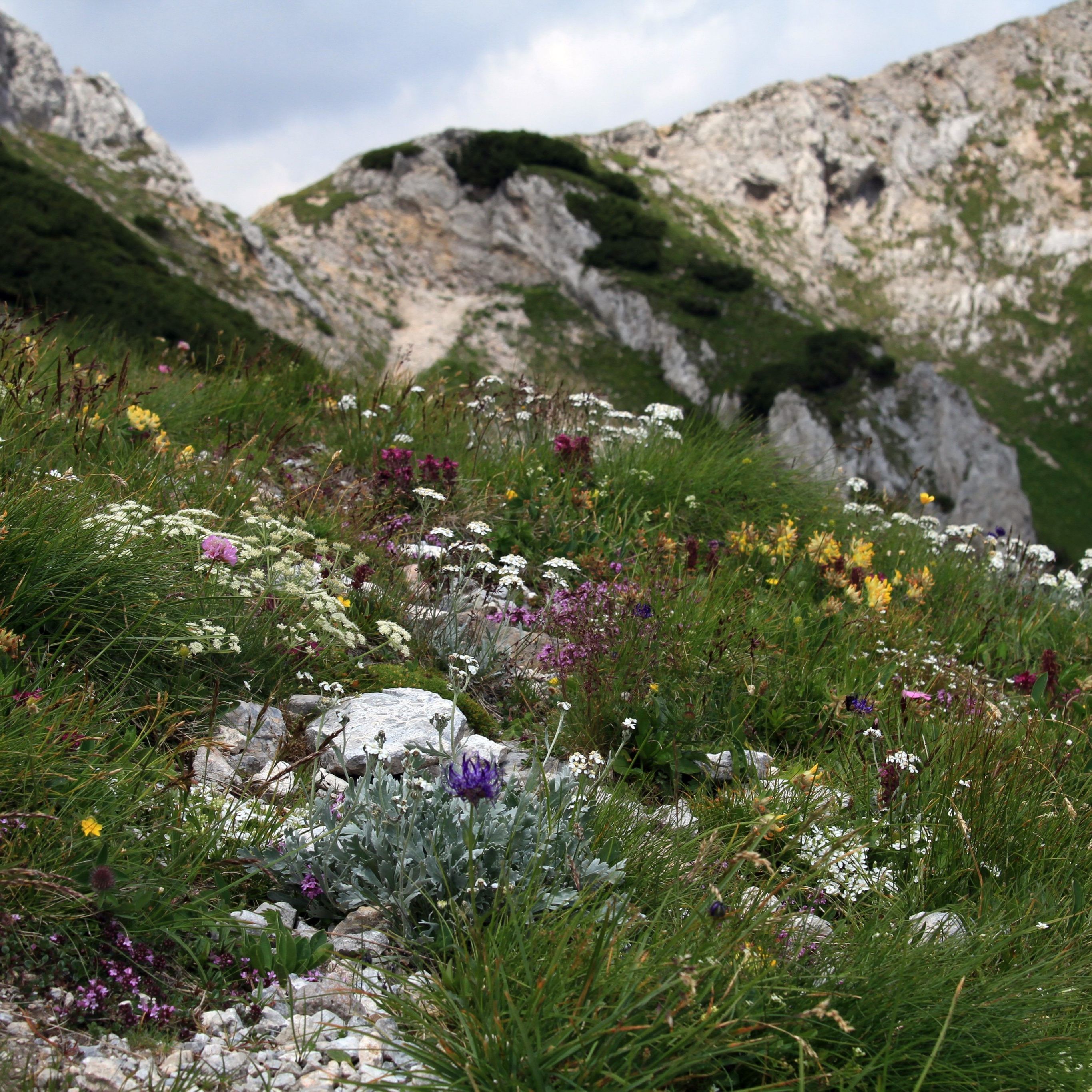 Das NHM Wien bietet ein tolles Programm in der "Woche der Artenvielfalt" an.