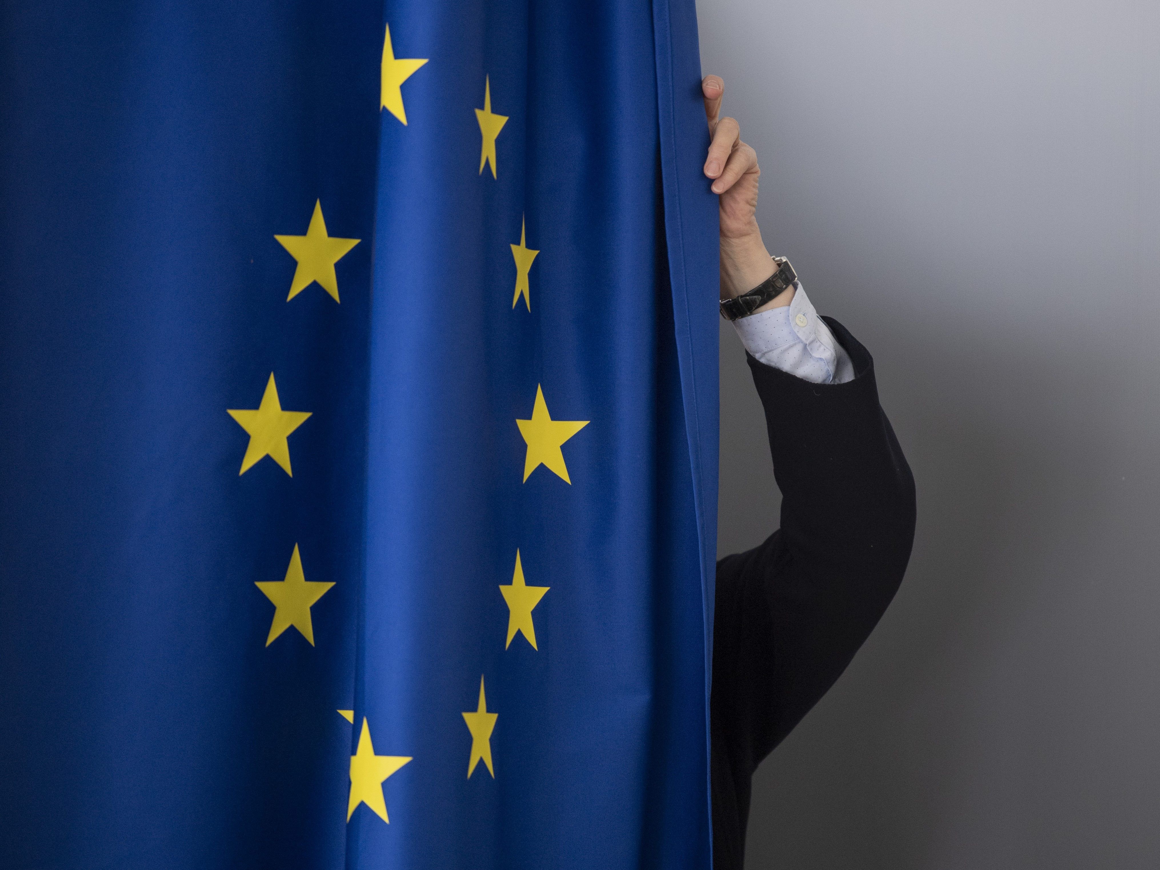 Der erwartete Rechtsruck blieb bei der EU-Wahl 2019 aus. Der erwartete Rechtsruck blieb bei der EU-Wahl 2019 aus.