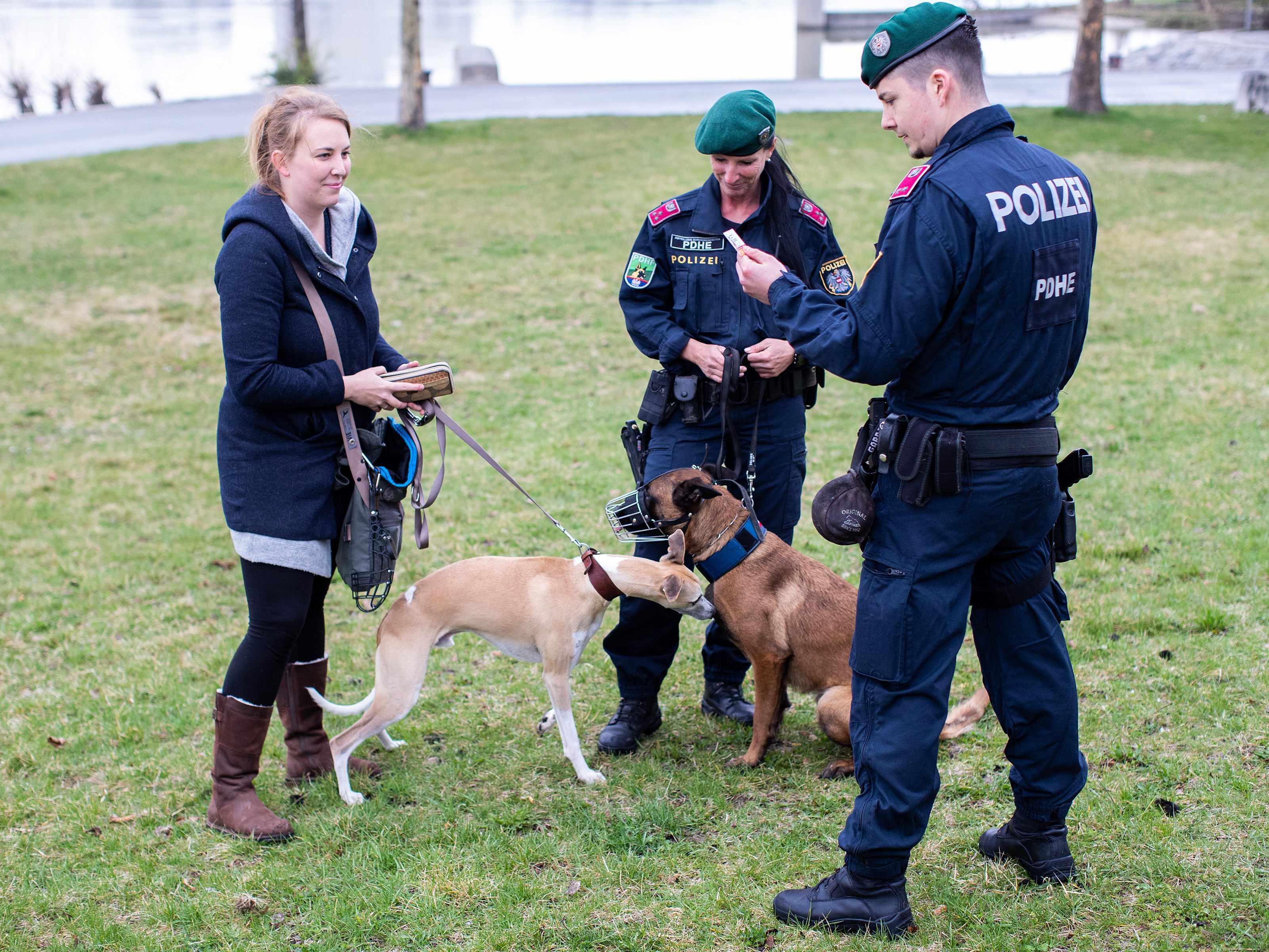 Die Wiener Polizei vermittelt auf der Wiener Donauinsel etwa zwischen Hundehaltern und sonstigen Besuchern