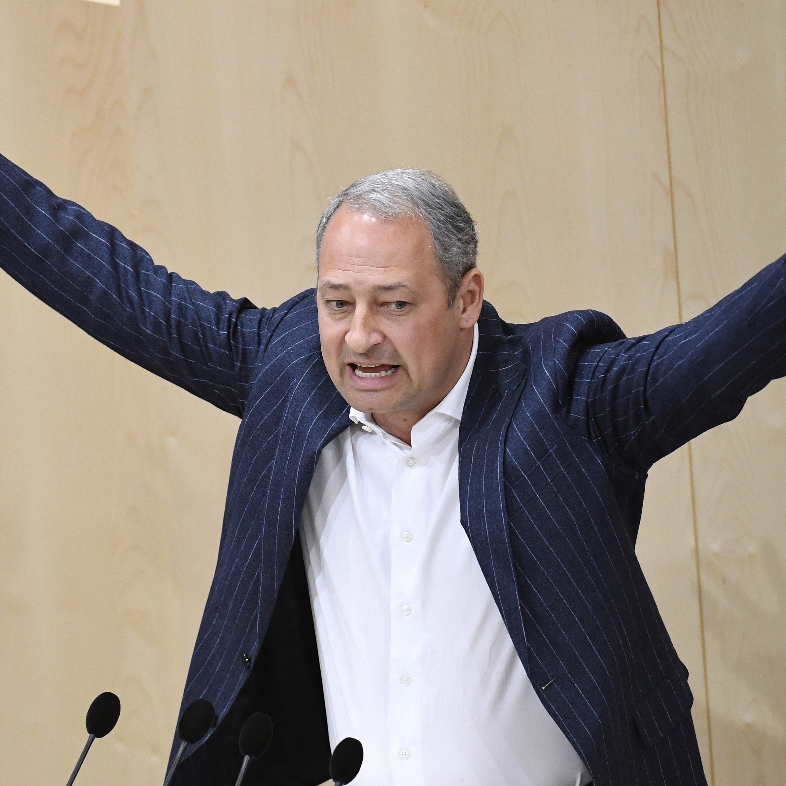 Eine Expertenregierung sollte laut Schieder bis zur Wahl übernehmen.