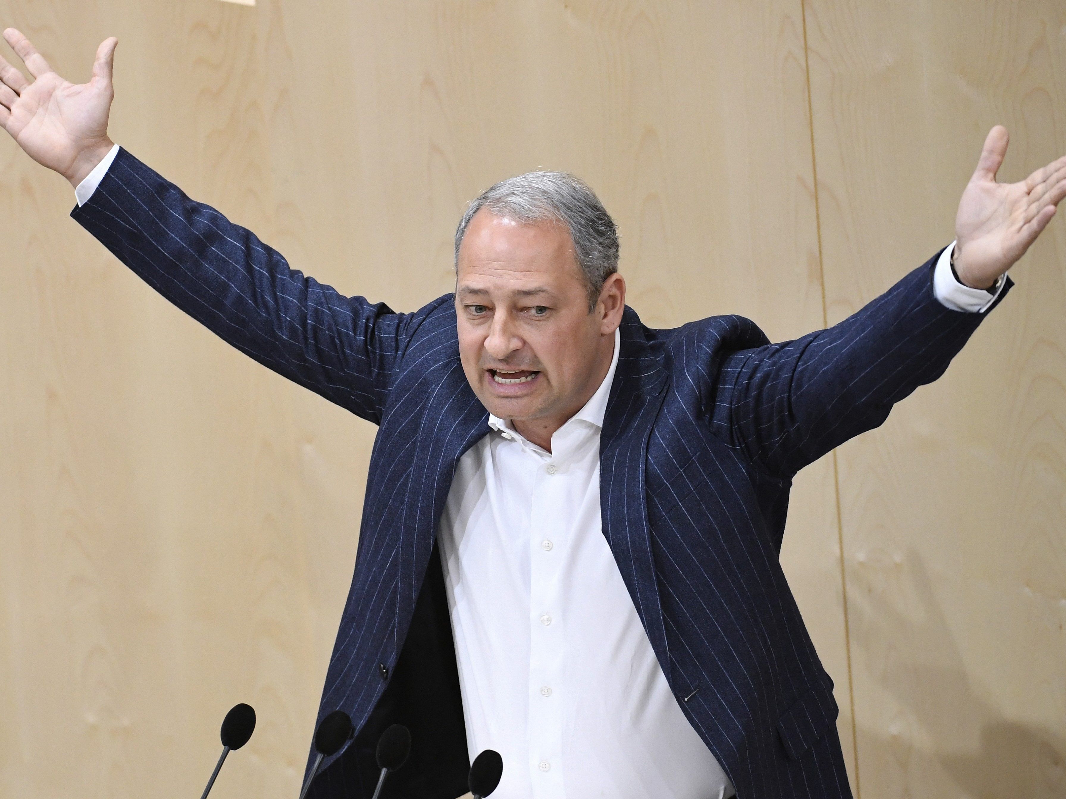 Eine Expertenregierung sollte laut Schieder bis zur Wahl übernehmen. Eine Expertenregierung sollte laut Schieder bis zur Wahl übernehmen.