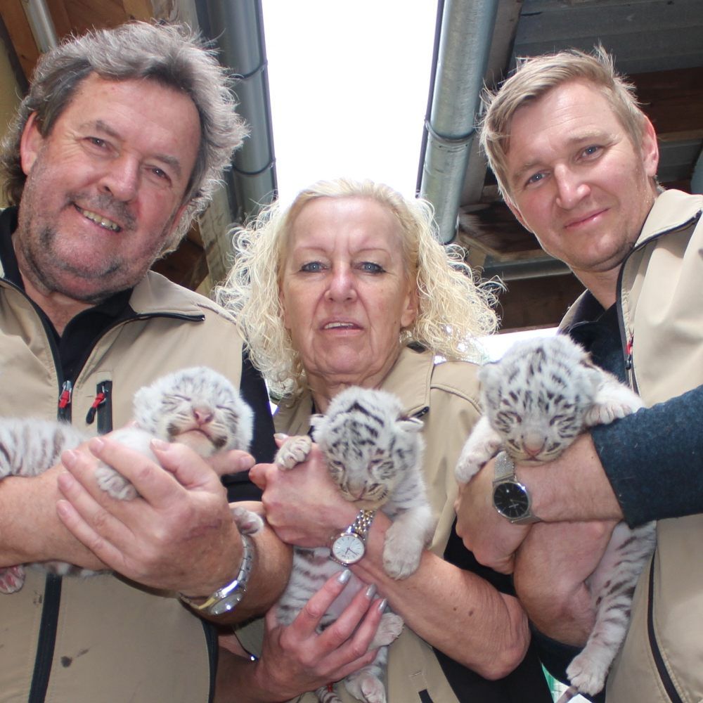 Am 7. Mai kamen die Drillinge zur Welt.