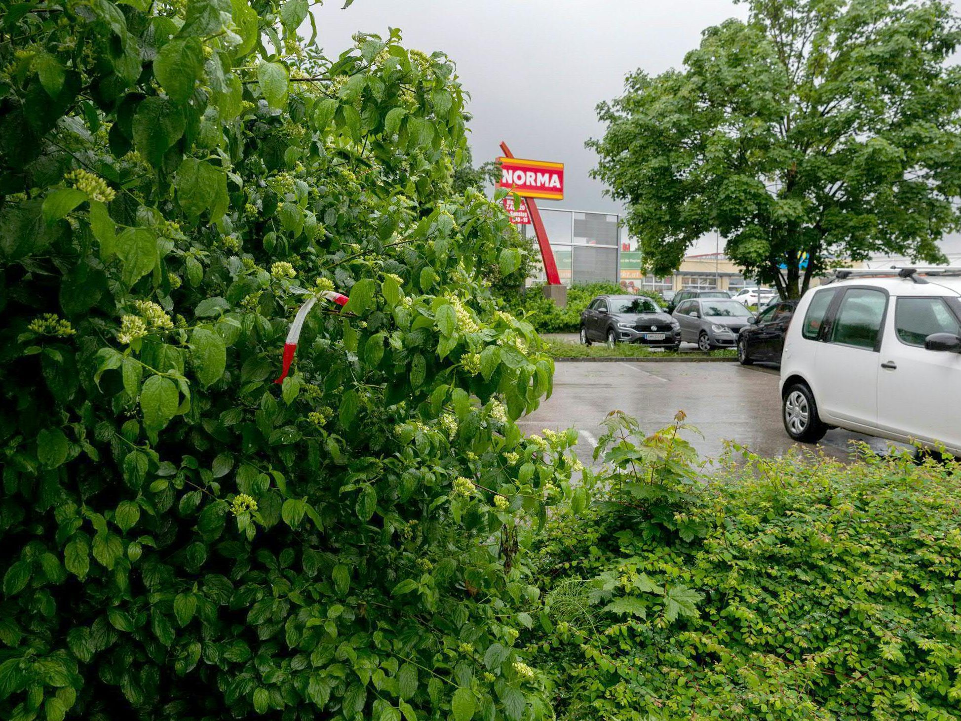 Die Polizei hat weiterhin keine Hinweise zum Täter. Die Polizei hat weiterhin keine Hinweise zum Täter.