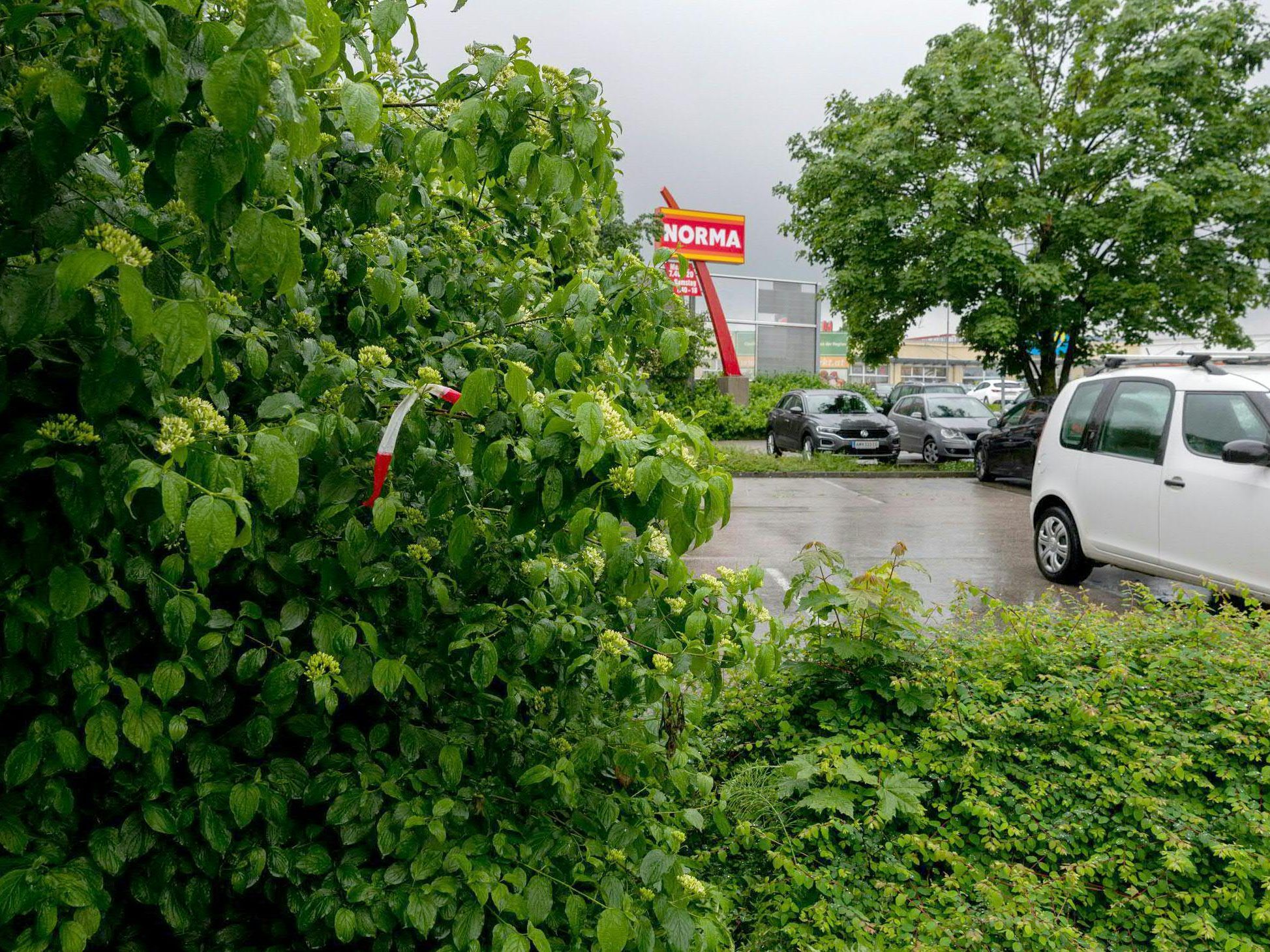 Die Polizei hat weiterhin keine Hinweise zum Täter.