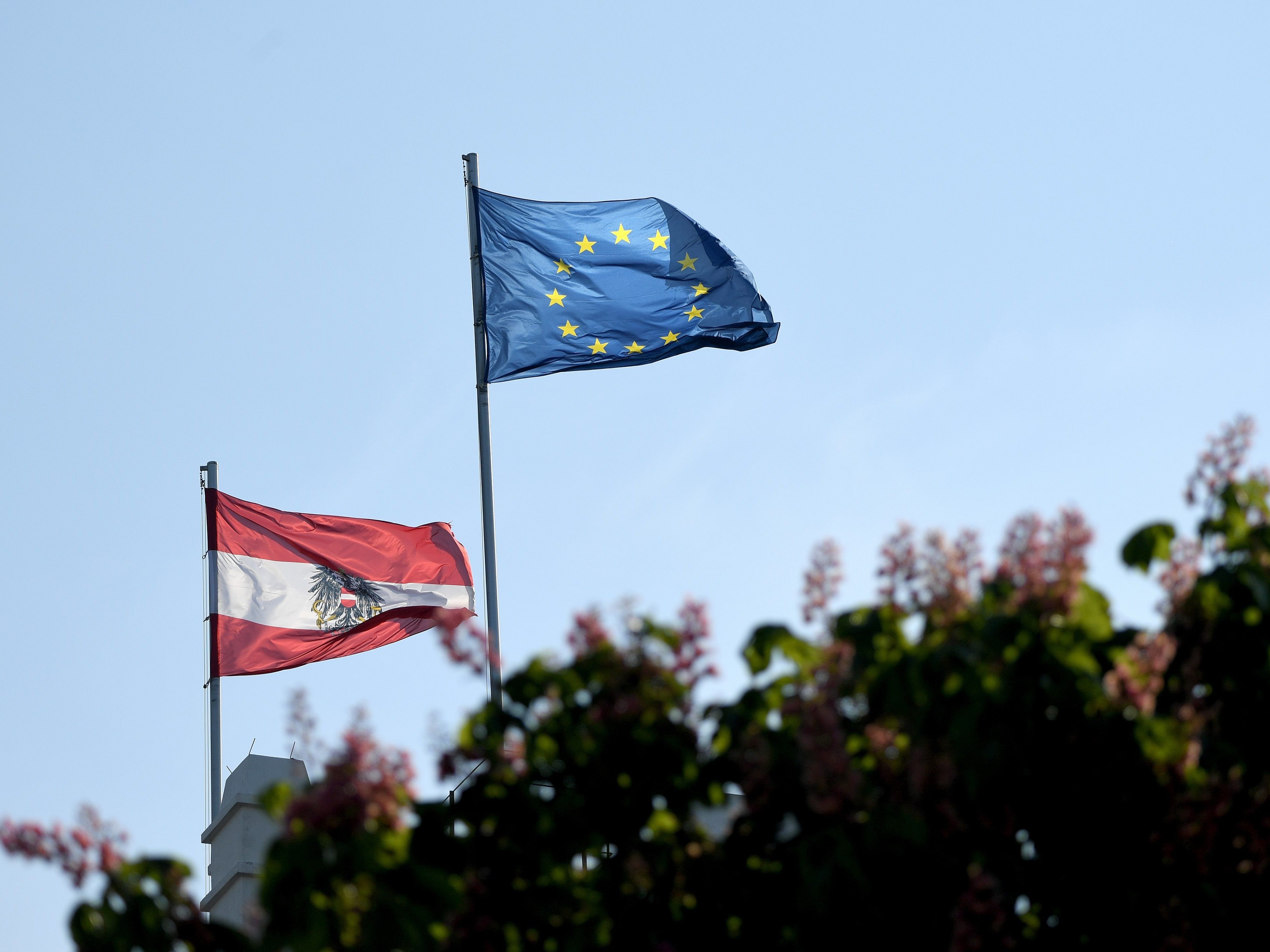 Die EU-Wahl könnte große Folgen für die österreichische Politik mit sich bringen. Die EU-Wahl könnte große Folgen für die österreichische Politik mit sich bringen.