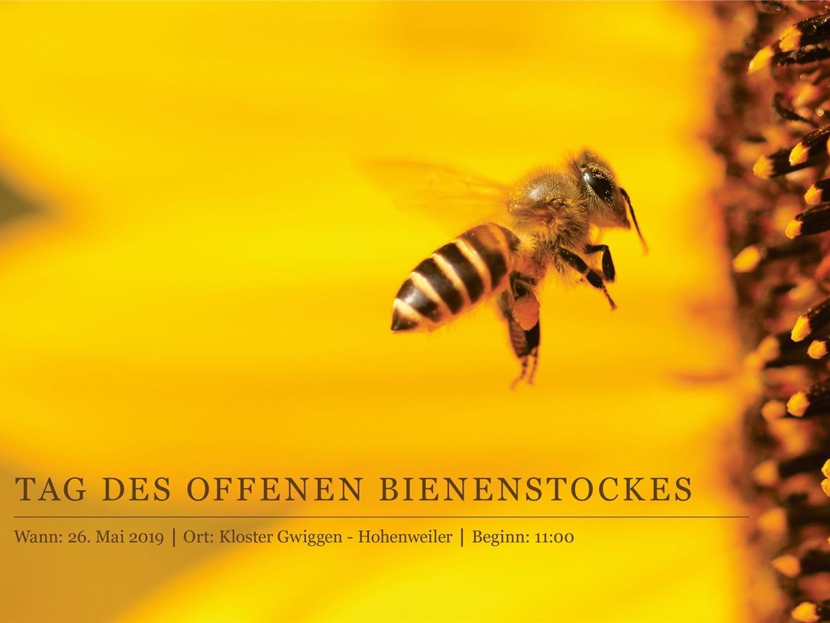 Das Leben der Bienen