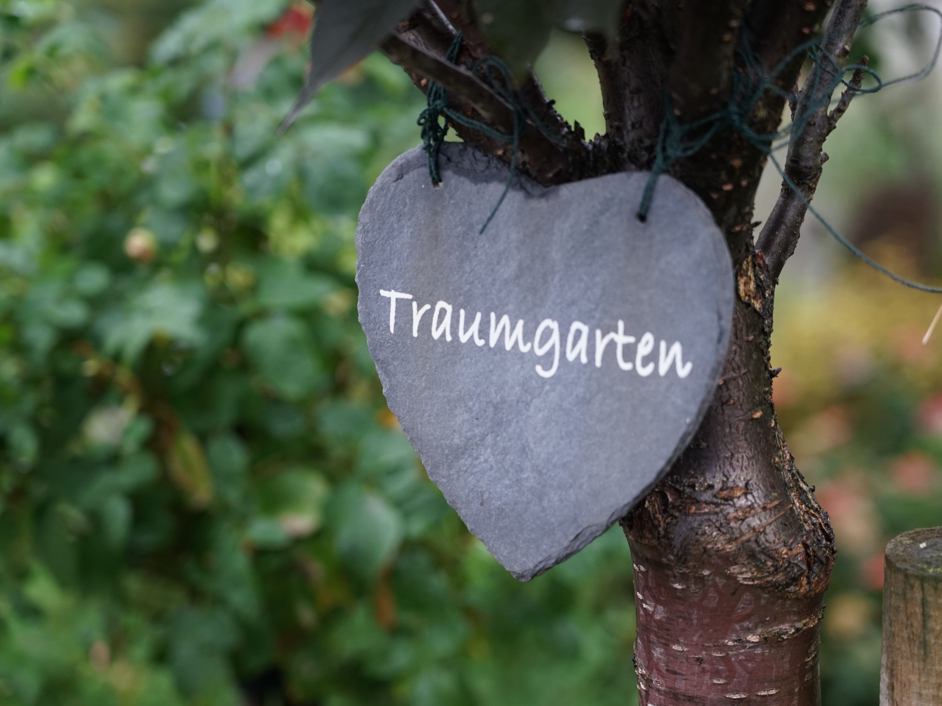 Traumgarten
