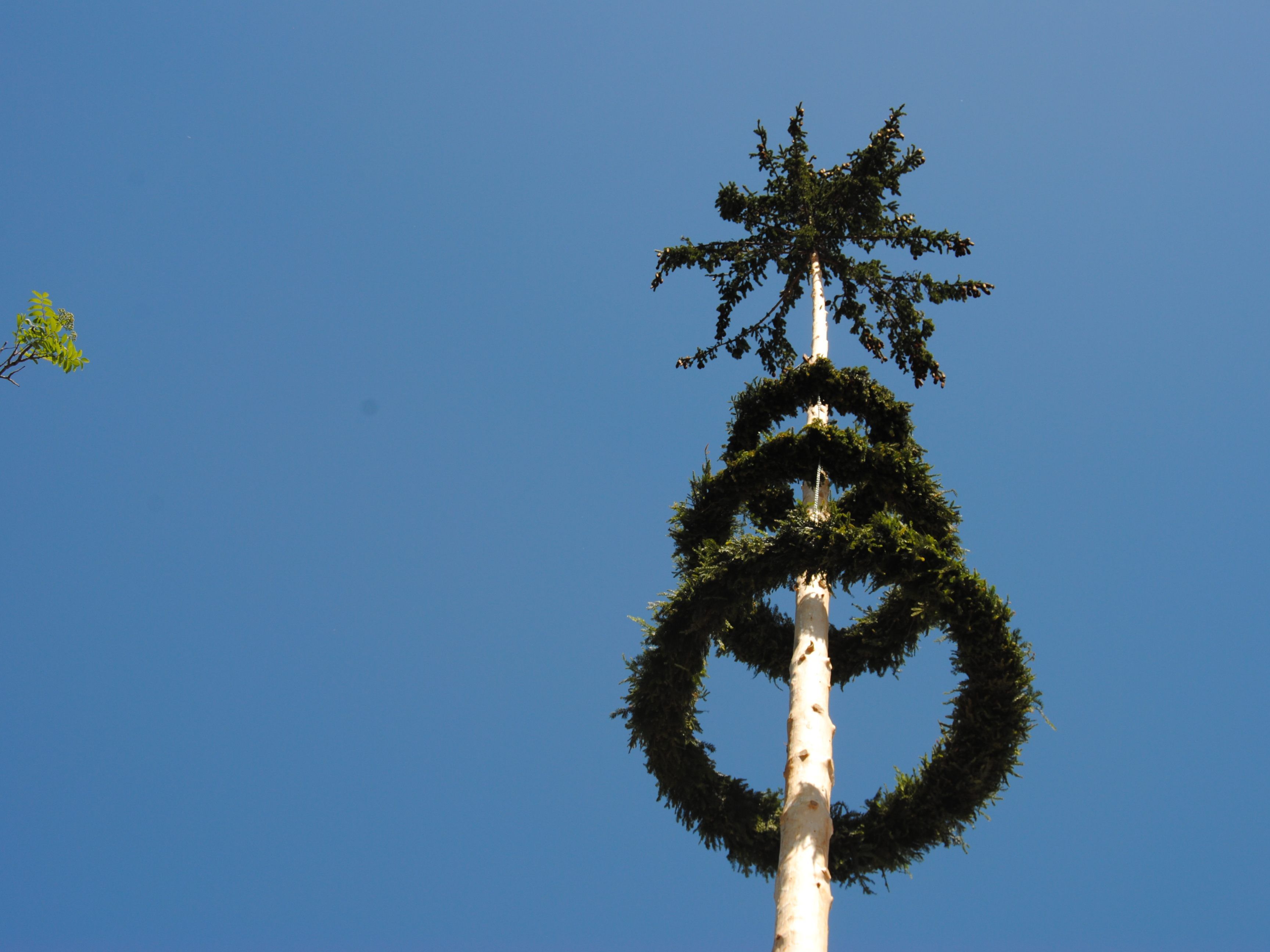 Der diesjährige Maibaum kann noch den ganzen Mai bewundert werden.