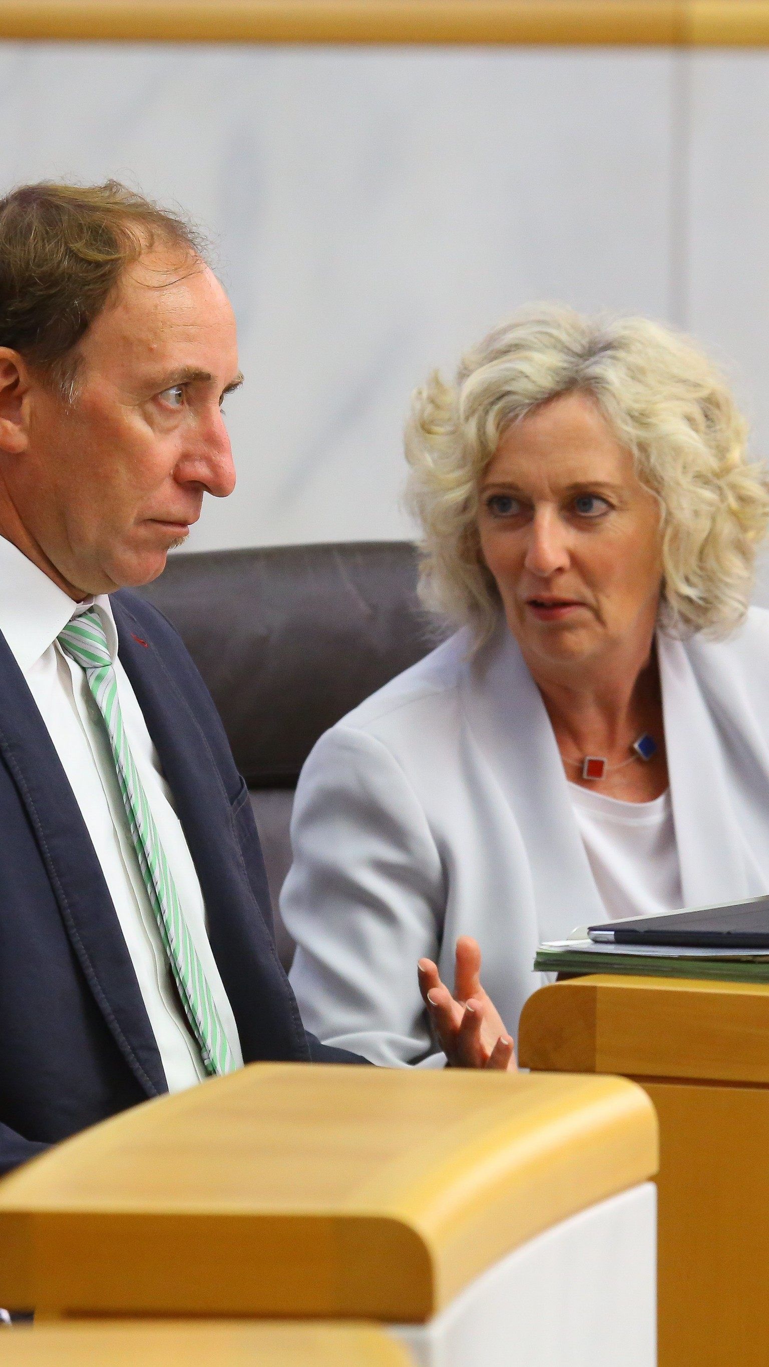 Rauch und Wiesflecker.