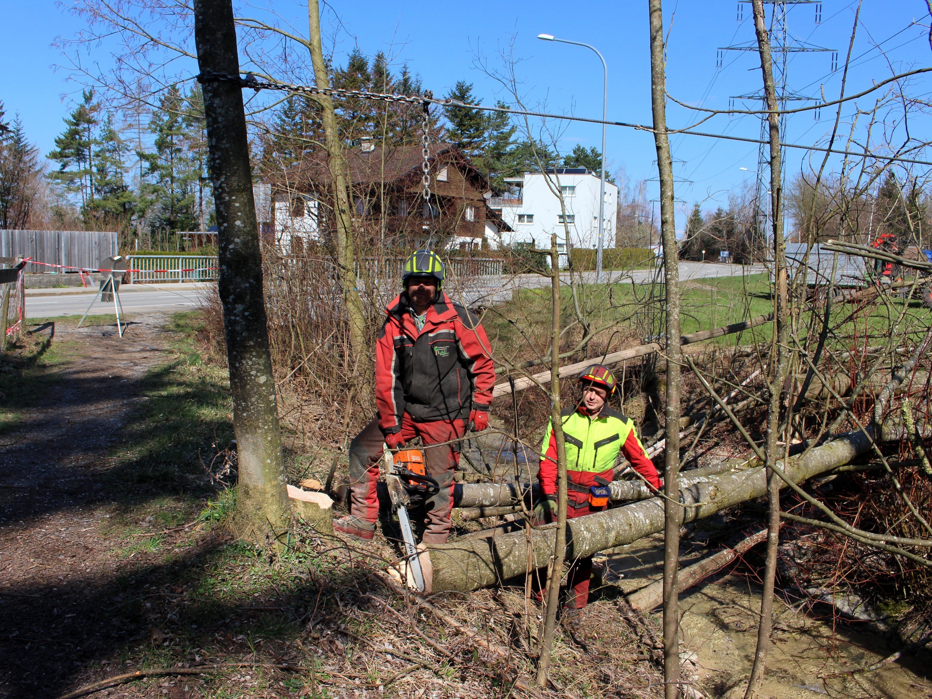 Für die Sicherheit der Bevölkerung: Manfred Lau (Baumfällungen Lau Bregenz) mit seinem Gehilfen bei Rodungsarbeiten am Hoferbach. Für die Sicherheit der Bevölkerung: Manfred Lau (Baumfällungen Lau Bregenz) mit seinem Gehilfen bei Rodungsarbeiten am Hoferbach.