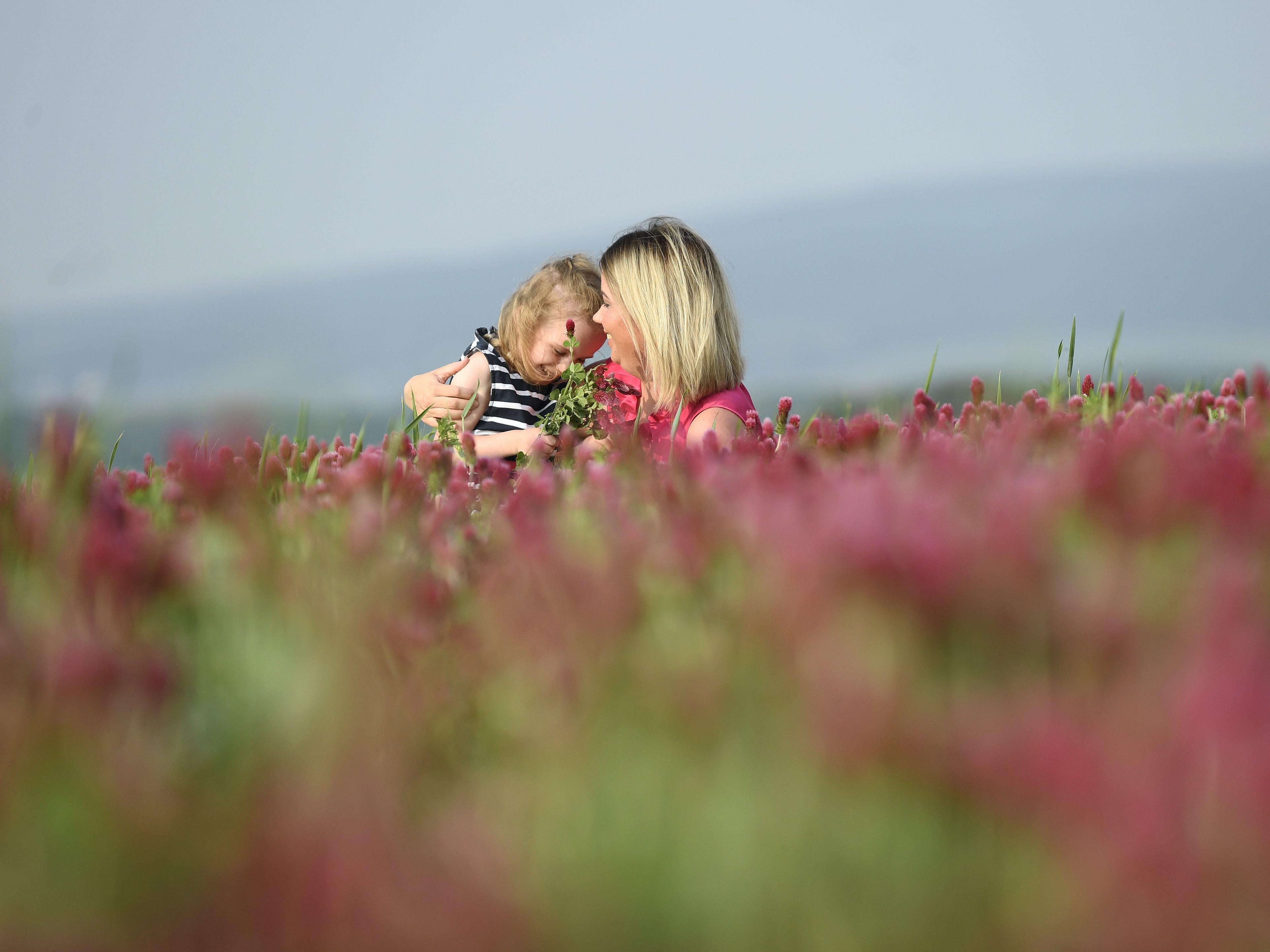Die Wien Holding-Unternehmen lassen die Mütter hoch leben. Die Wien Holding-Unternehmen lassen die Mütter hoch leben.