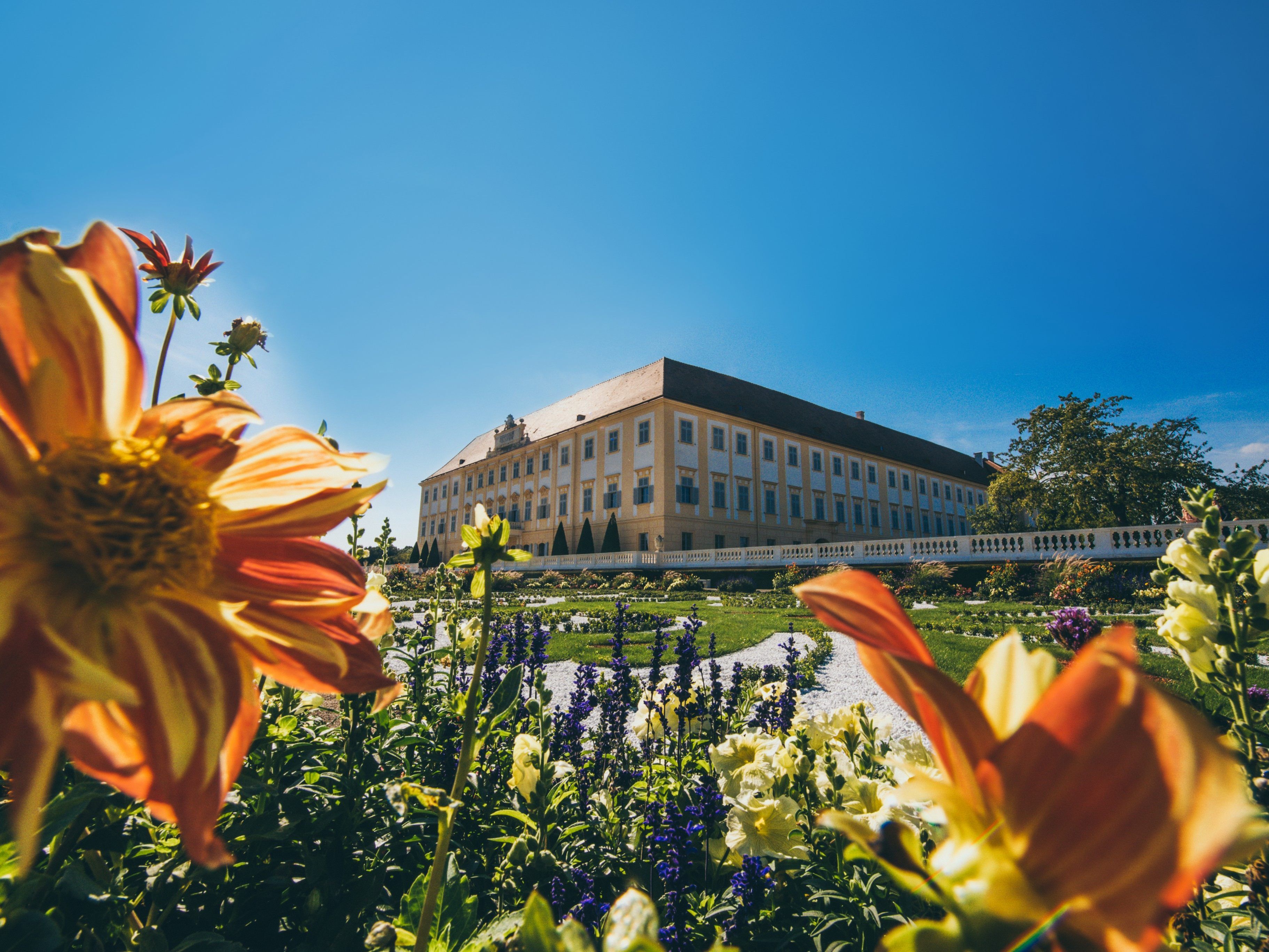 Der Garten von Schloss Hof kann ab dem 21. Mai besichtigt werden.