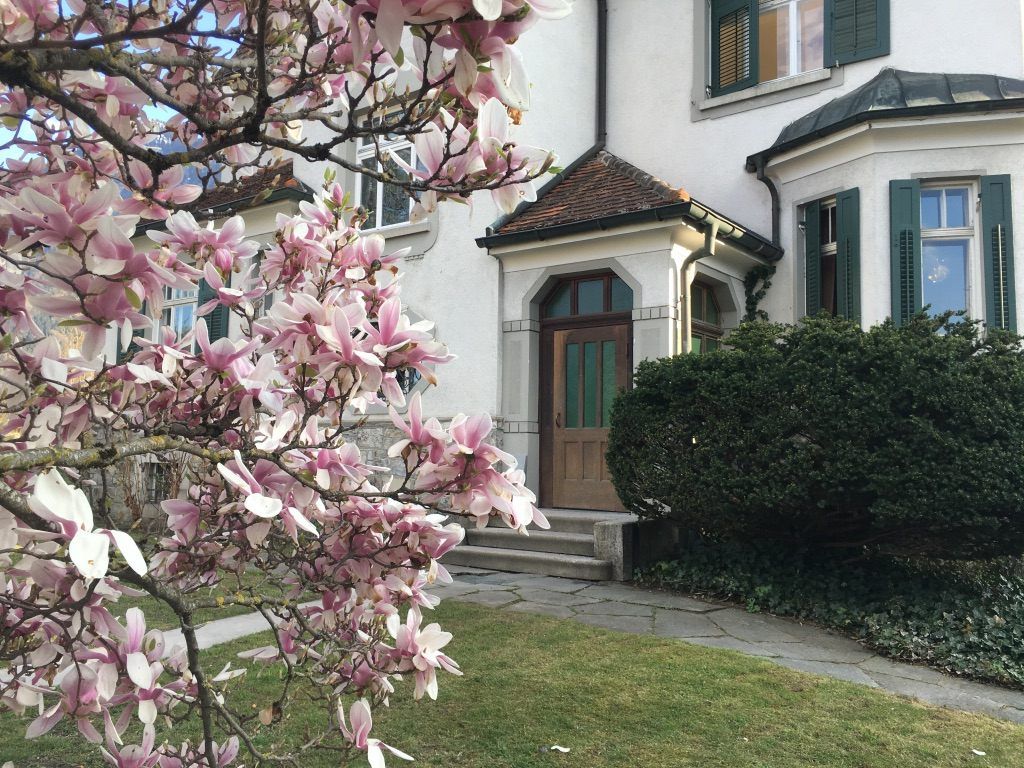Tolle Angebote im BildungsRaum Entfaltung
