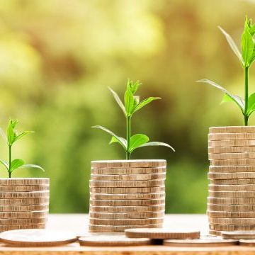 Die Koalition möchte Wirtschaft als Staatsziel verankern, ihr Vorgehen dazu sorgt jedoch für Verärgerung bei den NEOS.