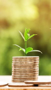 Die Koalition möchte Wirtschaft als Staatsziel verankern, ihr Vorgehen dazu sorgt jedoch für Verärgerung bei den NEOS.