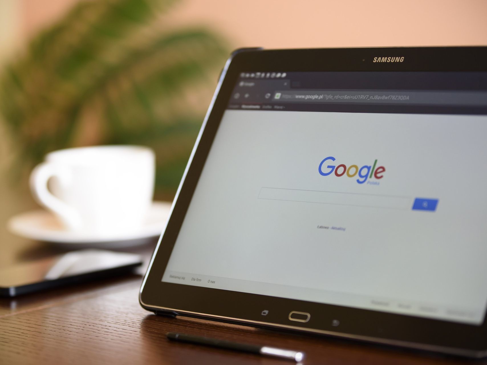 Bei den Ausgaben im EU-Wahlkampf für Google-Werbung, ist die FPÖ an erster Stelle.