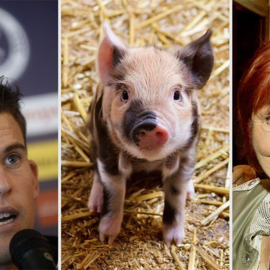 Promis wie Dominic Thiem und Elfriede Ott machen sich für den Tierschutz stark