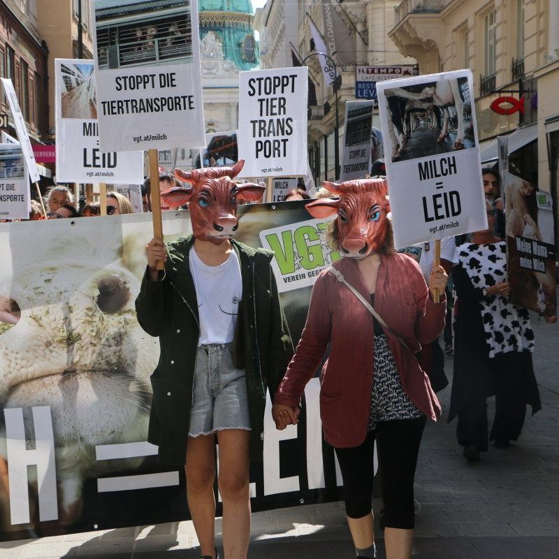 Der Verein gegen Tierfabriken demonstriert am Samstag in Wien.