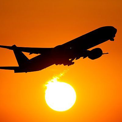 49,8 Prozent Auslandsreisen, 18,3 Prozent mit dem Flugzeug