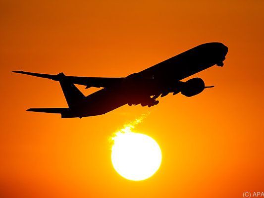 49,8 Prozent Auslandsreisen, 18,3 Prozent mit dem Flugzeug 49,8 Prozent Auslandsreisen, 18,3 Prozent mit dem Flugzeug