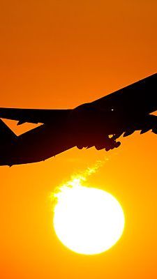49,8 Prozent Auslandsreisen, 18,3 Prozent mit dem Flugzeug