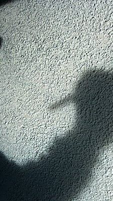 Österreicher sehr kulant bei Pfusch und Schwarzarbeit