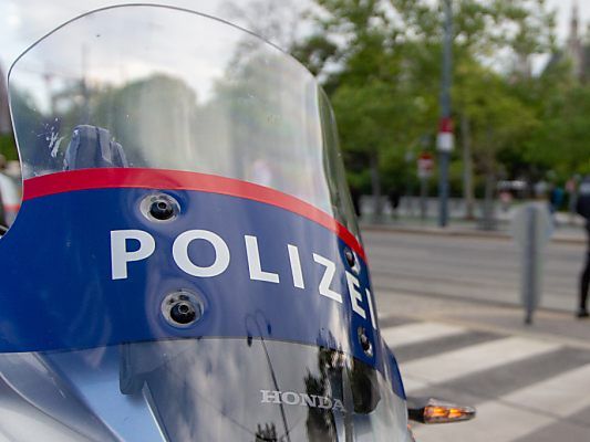 Polizei-Einsatz bei der Klima-Demo soll "umfassend" evaluiert werden
