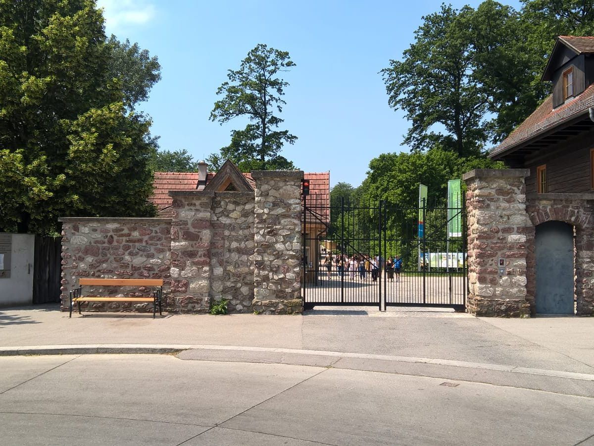 Der Lainzer Tiergarten bietet Abwechslung zum Trubel in der Stadt.