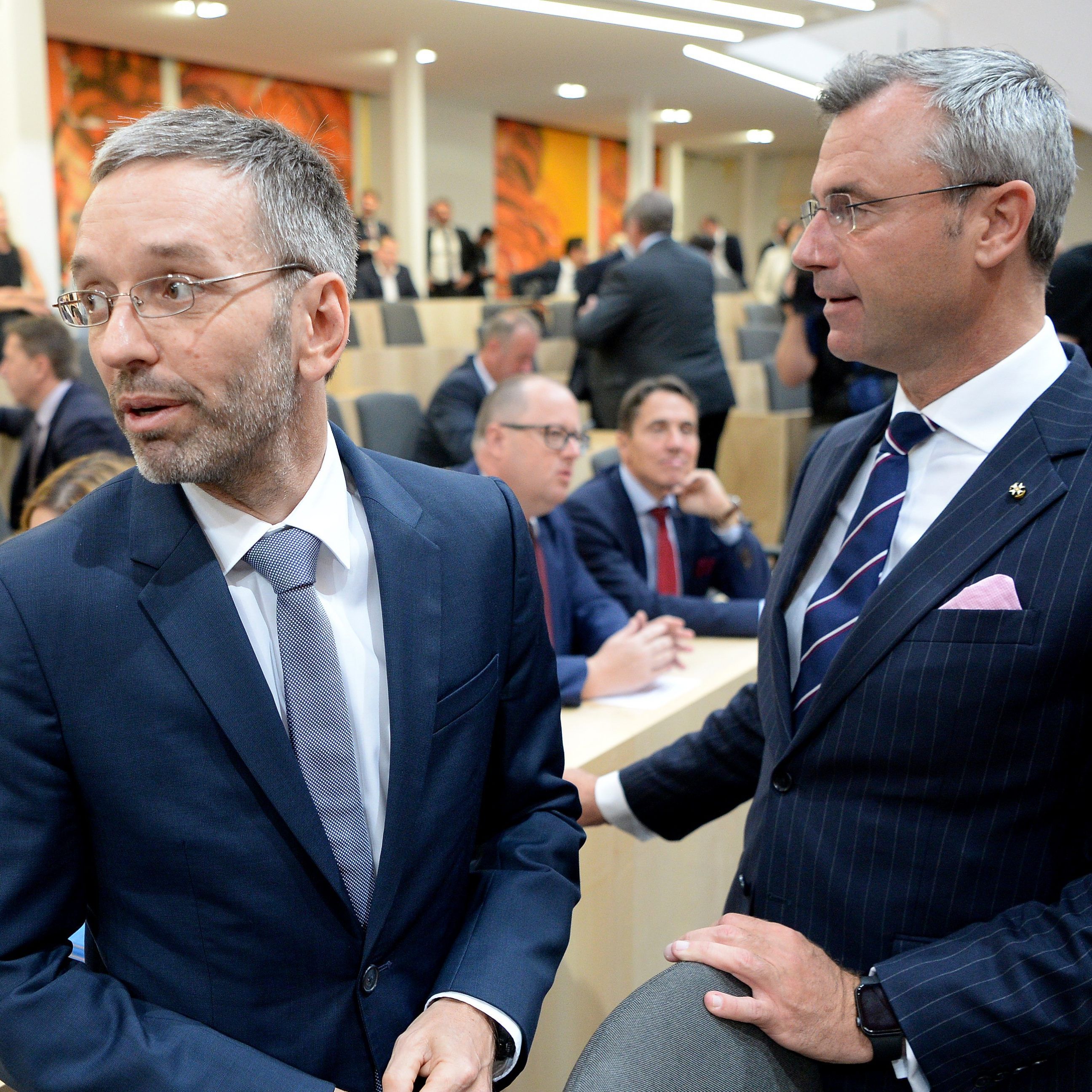 Hofer wird Partei bei der NR-Wahl anführen