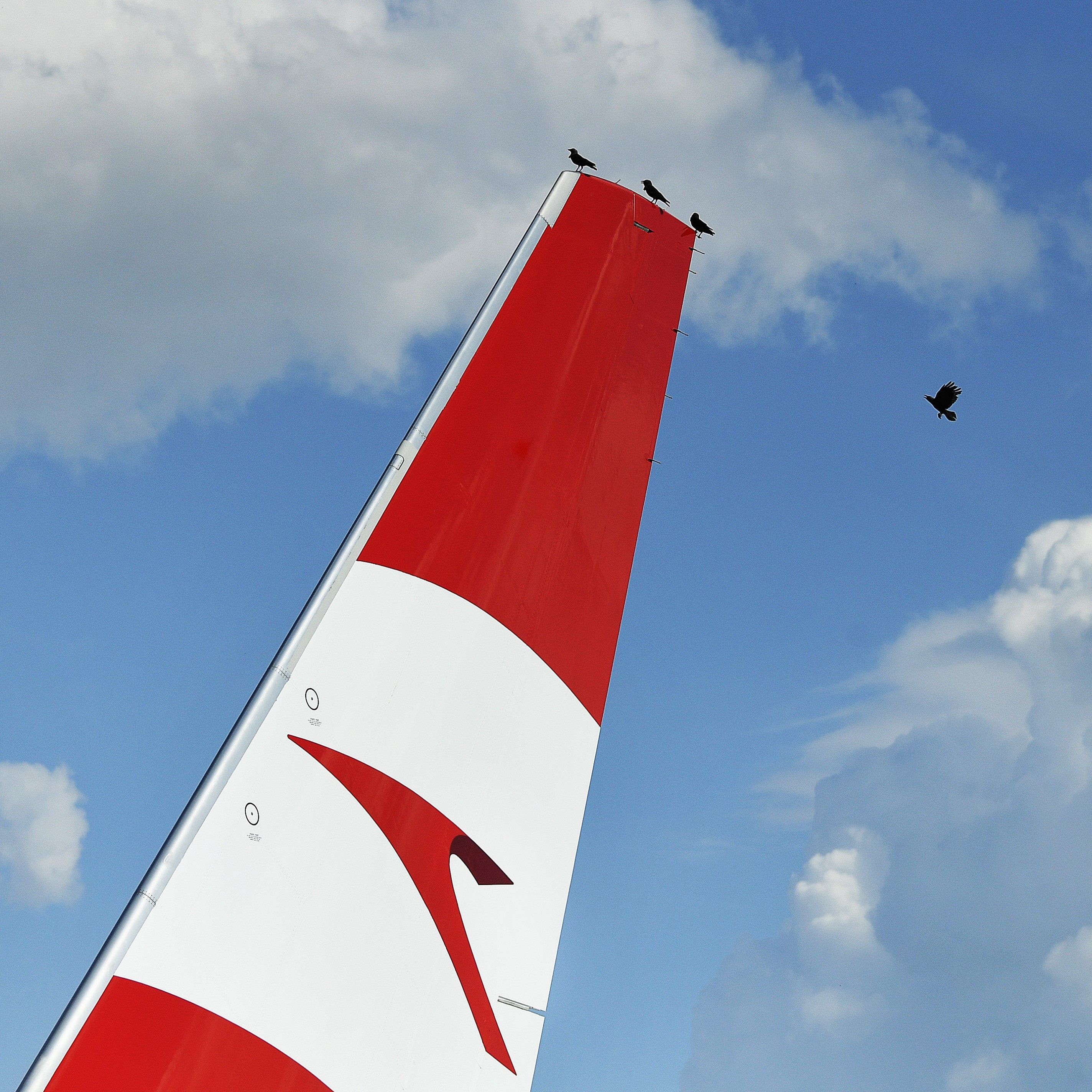 Der AUA-Aufsichtsrat wird verkleinert.