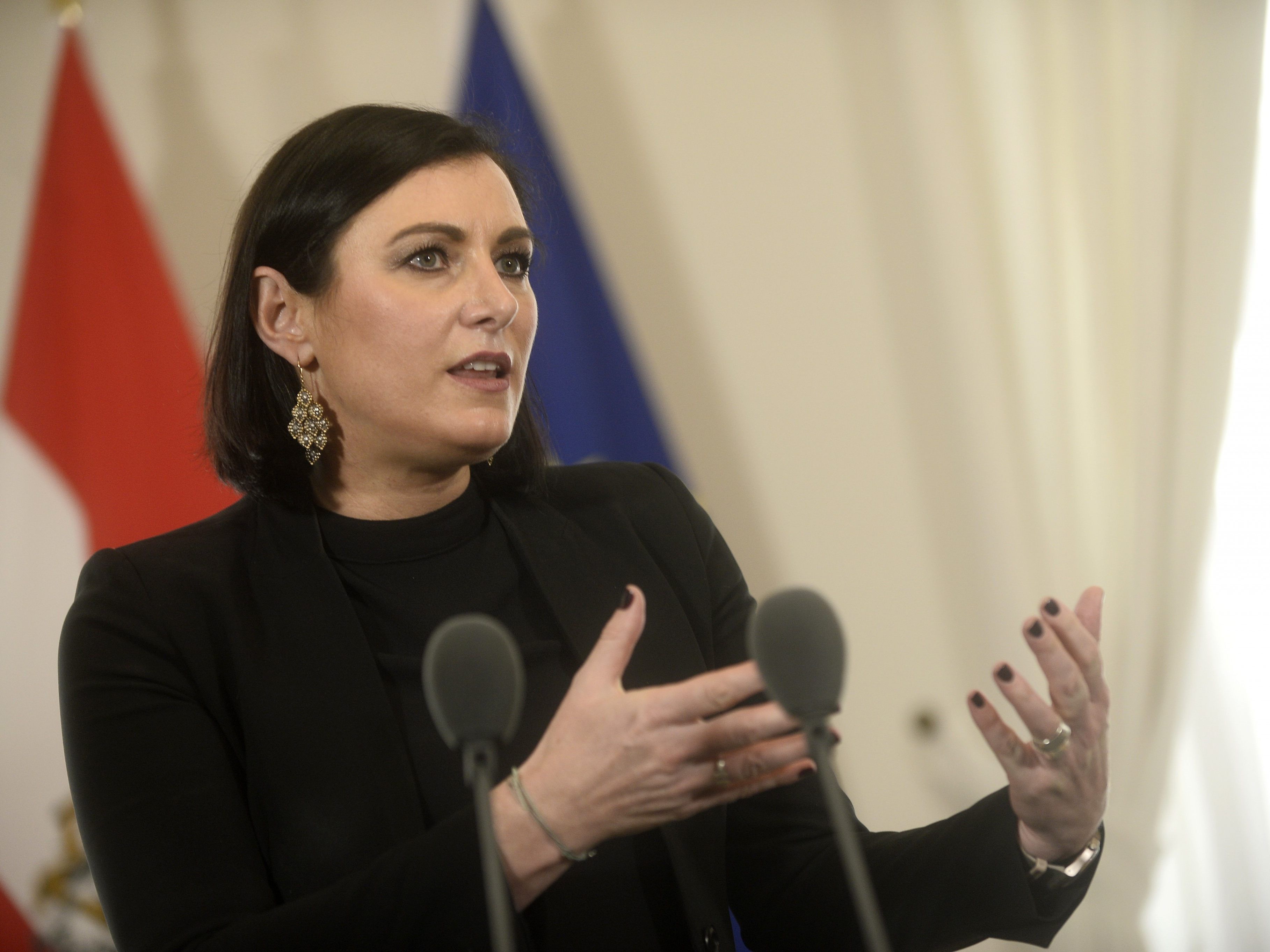 Nächste Woche will die ÖVP das Paket in den Nationalrat einbringen. Nächste Woche will die ÖVP das Paket in den Nationalrat einbringen.