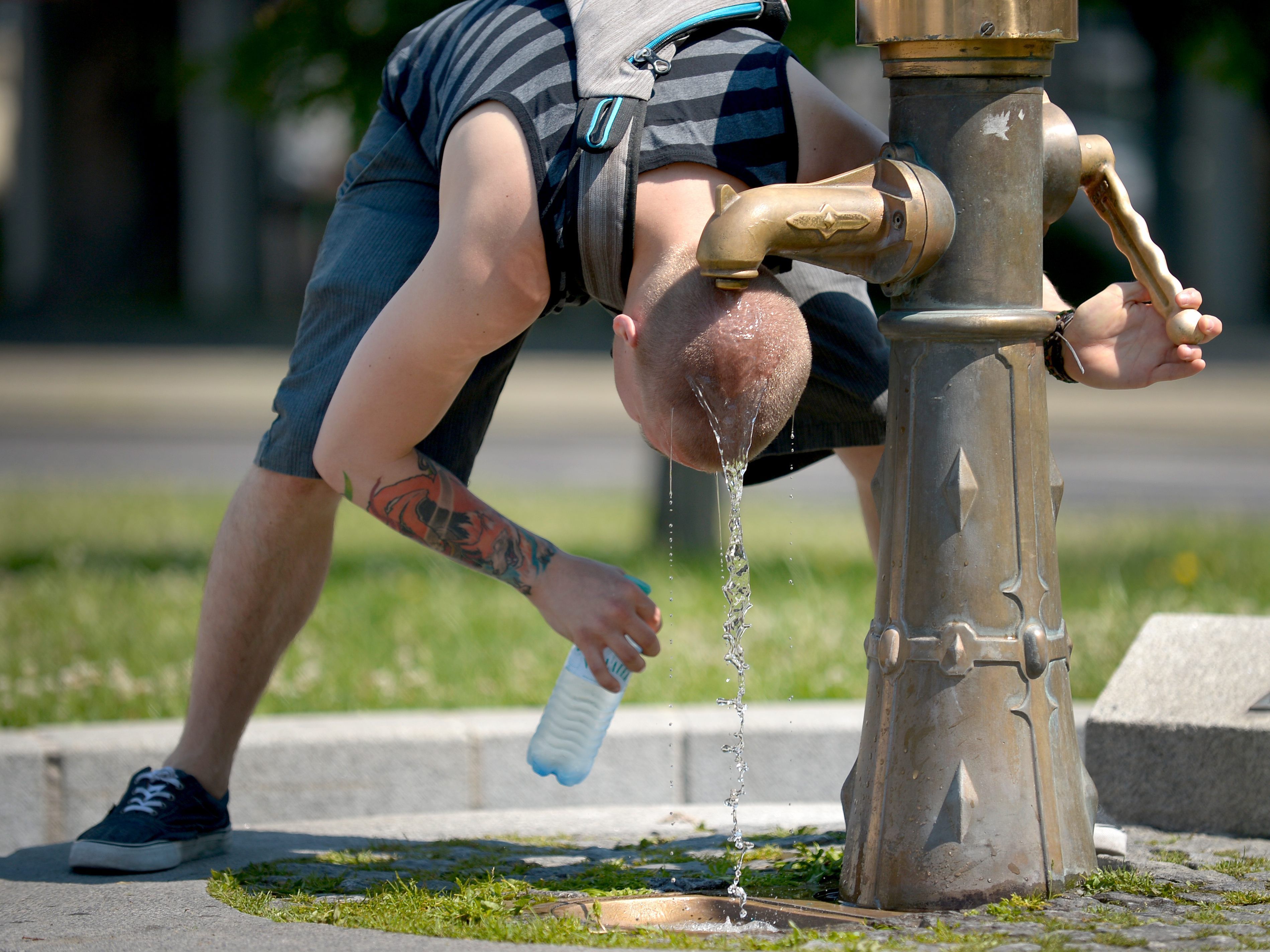 Das Hitzetelefon ist rund um die Uhr erreichbar. Das Hitzetelefon ist rund um die Uhr erreichbar.