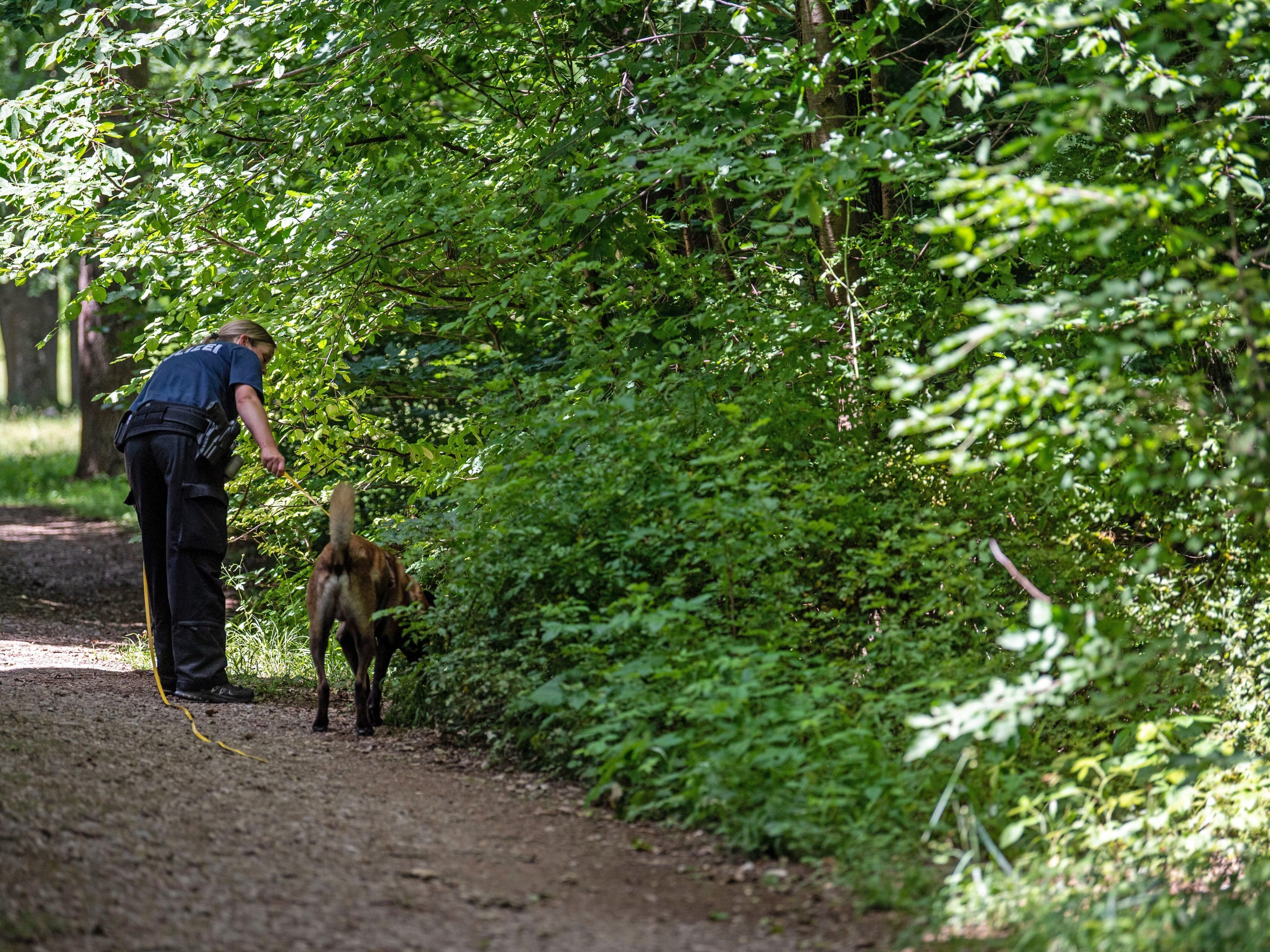 Der Mann soll eine Wolfsmaske getragen haben. Der Mann soll eine Wolfsmaske getragen haben.