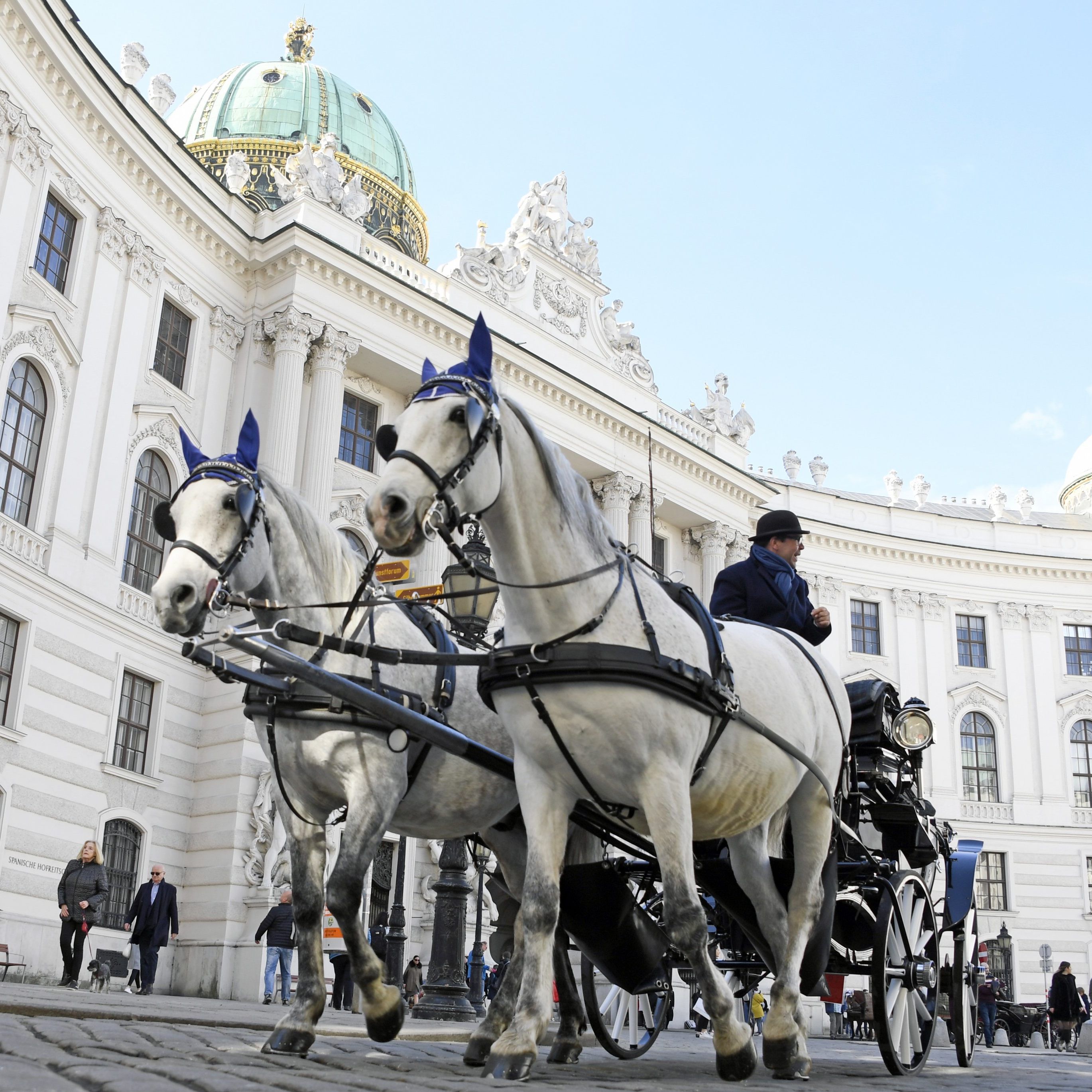Erst nach 5 Stunden in der prallen Sonne, bekamen die Fiakerpferde HItzefrei.