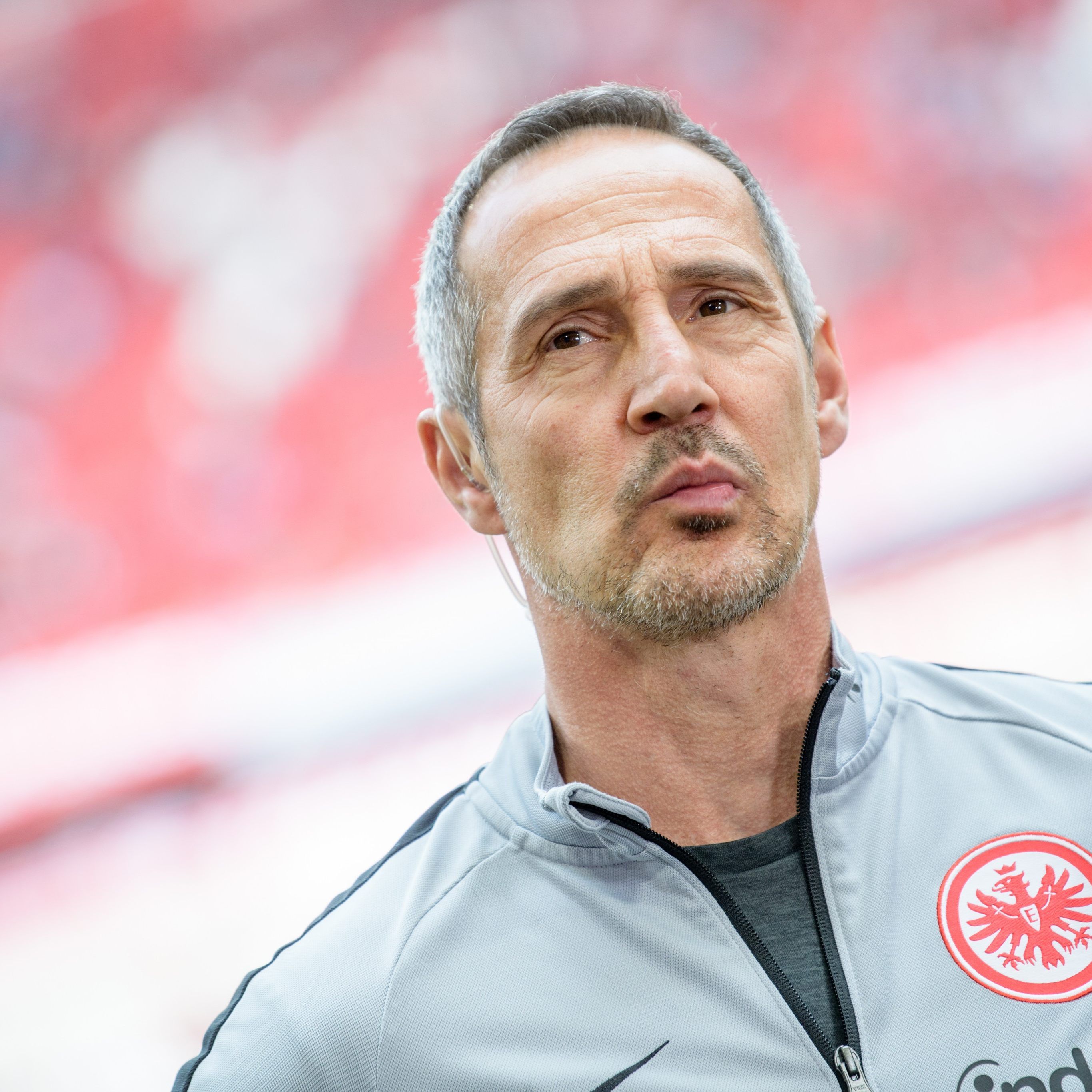 Adi Hütter ist Trainer der Saison.